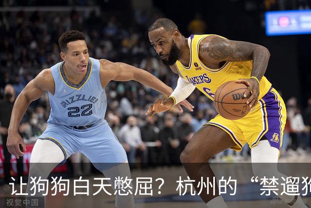 让狗狗白天憋屈？杭州的“禁遛狗令”引发热议
